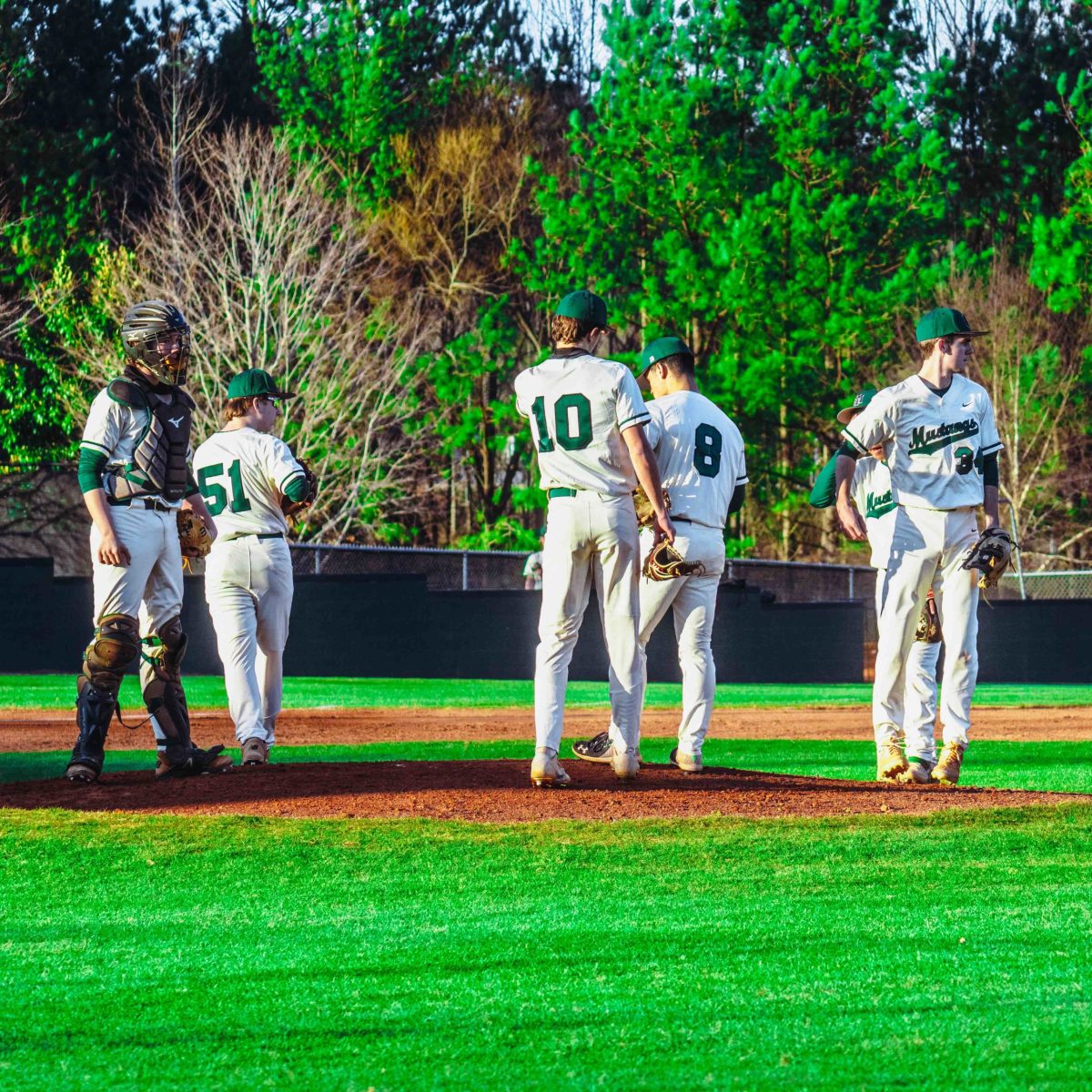 Willie_Prince_Kennesaw_Mountain_baseball.48